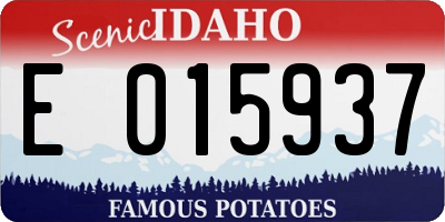 ID license plate E015937