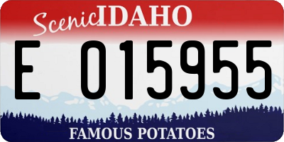 ID license plate E015955