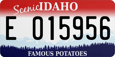 ID license plate E015956
