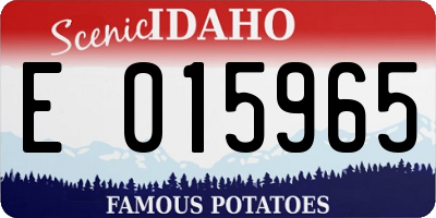 ID license plate E015965