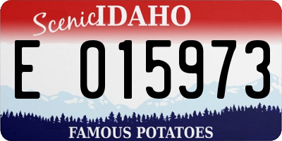 ID license plate E015973