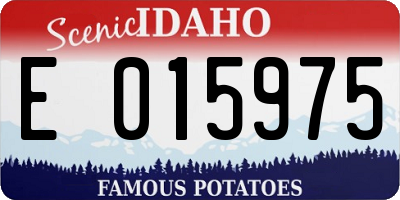 ID license plate E015975