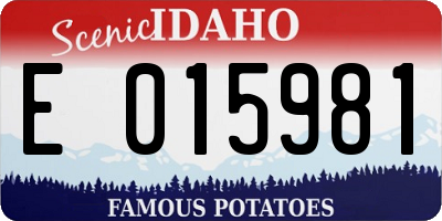 ID license plate E015981