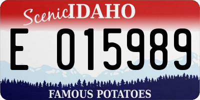 ID license plate E015989
