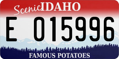 ID license plate E015996