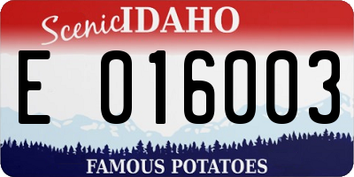 ID license plate E016003