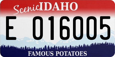 ID license plate E016005