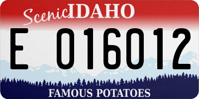 ID license plate E016012