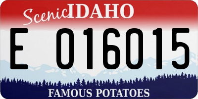 ID license plate E016015