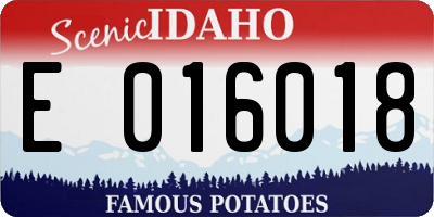 ID license plate E016018