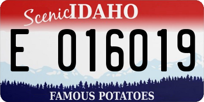 ID license plate E016019