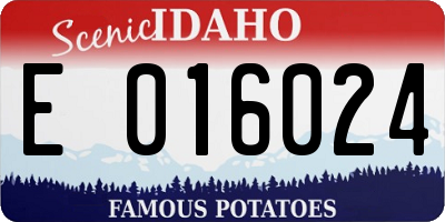 ID license plate E016024