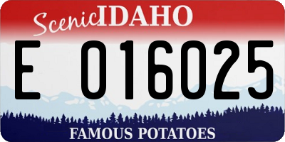 ID license plate E016025