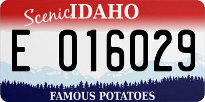 ID license plate E016029
