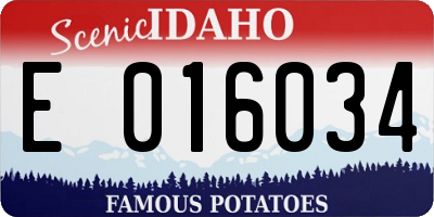 ID license plate E016034