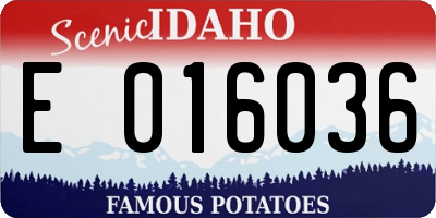 ID license plate E016036