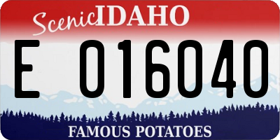 ID license plate E016040