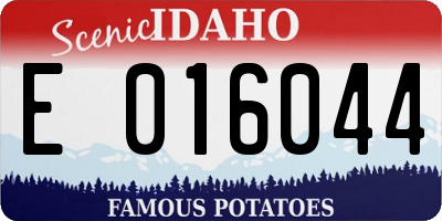 ID license plate E016044