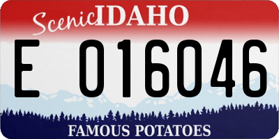 ID license plate E016046