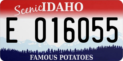 ID license plate E016055