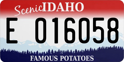 ID license plate E016058
