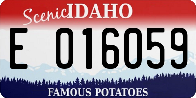 ID license plate E016059