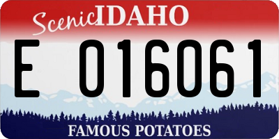 ID license plate E016061