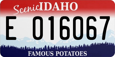 ID license plate E016067