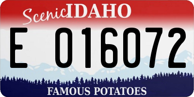 ID license plate E016072