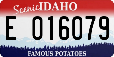 ID license plate E016079