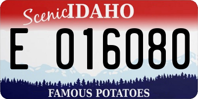 ID license plate E016080