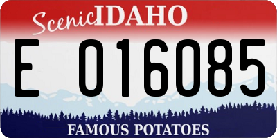 ID license plate E016085