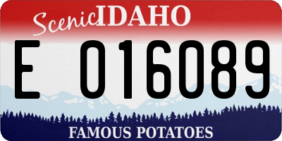 ID license plate E016089