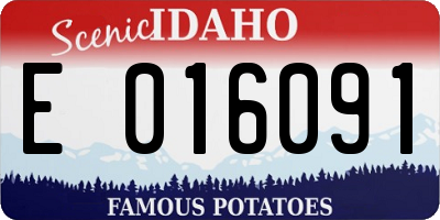 ID license plate E016091