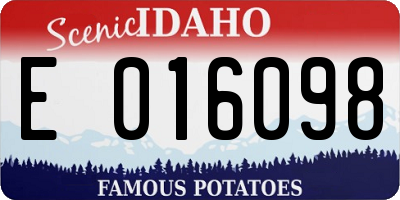 ID license plate E016098