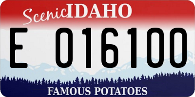 ID license plate E016100