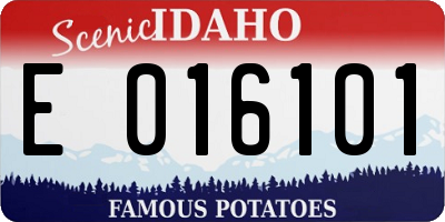 ID license plate E016101
