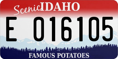 ID license plate E016105