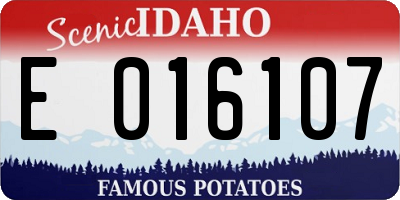 ID license plate E016107