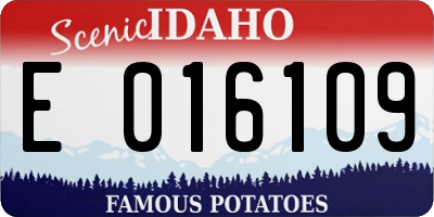ID license plate E016109