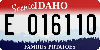 ID license plate E016110