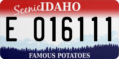 ID license plate E016111