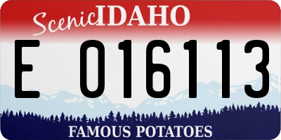 ID license plate E016113