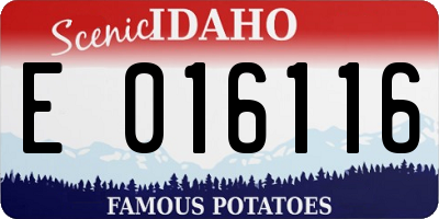 ID license plate E016116