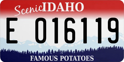 ID license plate E016119