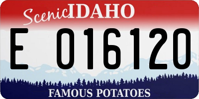 ID license plate E016120