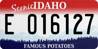 ID license plate E016127