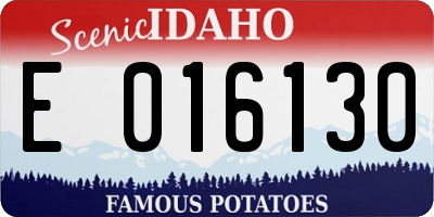 ID license plate E016130