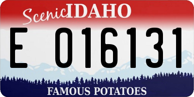 ID license plate E016131