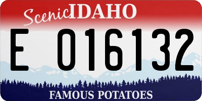 ID license plate E016132